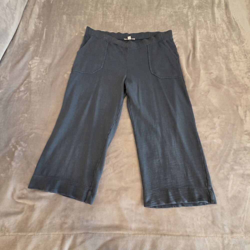 Pure Jill Bluegray Organic Cotton PullOn Casual Pants Women's Size Medium Petite